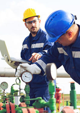 Petrochemicals Inspection and Testing