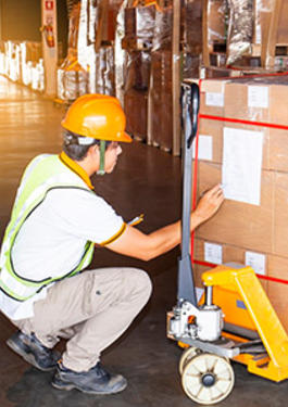 PRE-SHIPMENT INSPECTION (PSI) SERVICES